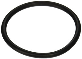 Pentair O-Ring 2 Inch Bulkhead -154492 (44-3020) Pentair O-Ring 2 Inch Bulkhead -154492 (44-3020)
