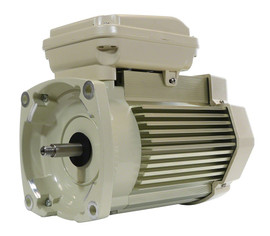 Pentair - 5 HP 1 Phase TEFC Almond Motor, 208-230V- 354819S