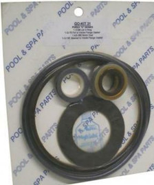 Pentair C Series Oring and Gasket Kit - Go-Kit # 31