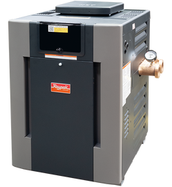 Raypak Digital Low NOx ASME Pool/Spa Heater 207A - 017705