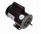 Century Spa Replacement Motor - 48 Frame - Bolt Through - Two Speed - 2 HP, 230 Volts - B2234