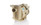 Pentair INTELLIFLO VS+SVRS VARIABLE SPEED PUMP 011057 Pentair INTELLIFLO VS+SVRS VARIABLE SPEED PUMP 011057