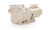 Pentair SUPERFLO High Performance Pool Pump 1 HP - 340038