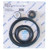 Go-Kit-36 O Ring Kit AquaFlo Dominator (Go-Kit36)