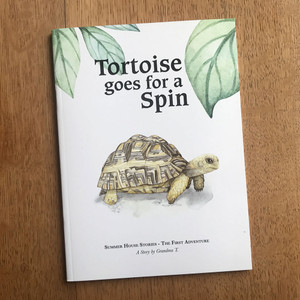 Tortoise Goes For A Spin Tortoise Goes For A Spin