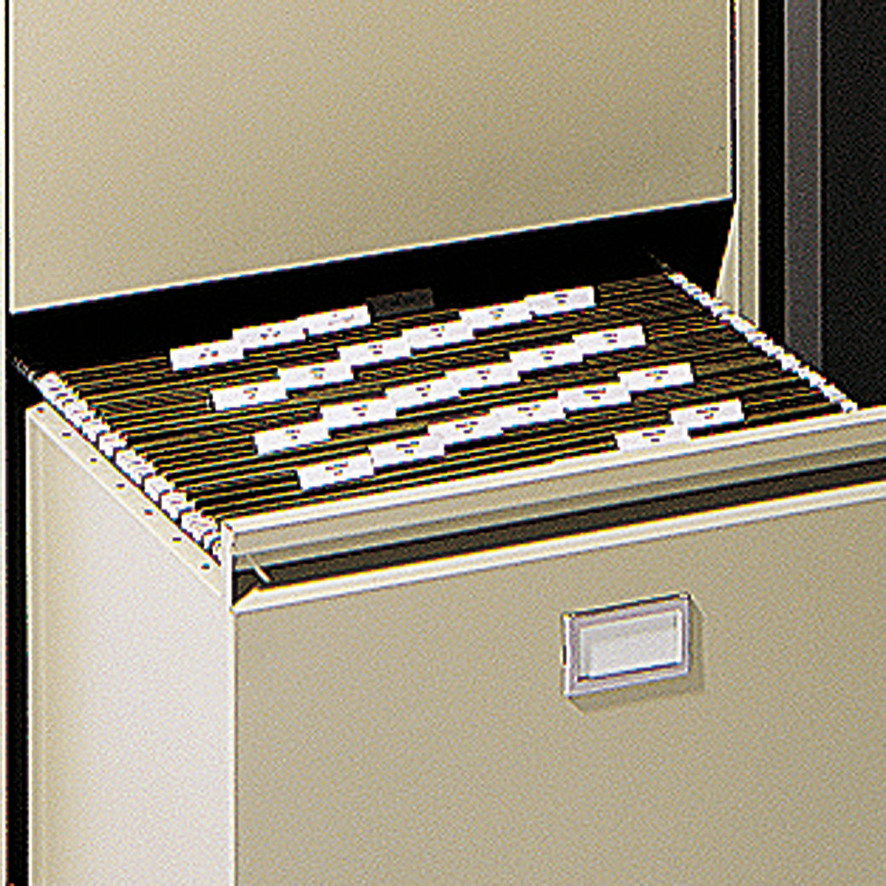 Hanging File Folders for Up To 12