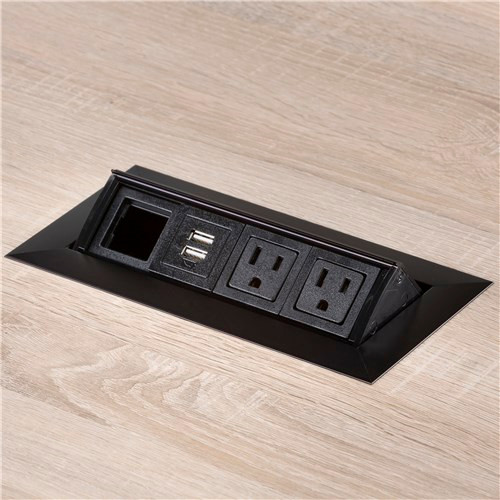 Power Module - 2 Power Outlets, 1 Data Outlet, USB Power PM33