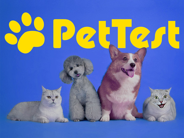 A Diabetic Dog One-Stop Shop