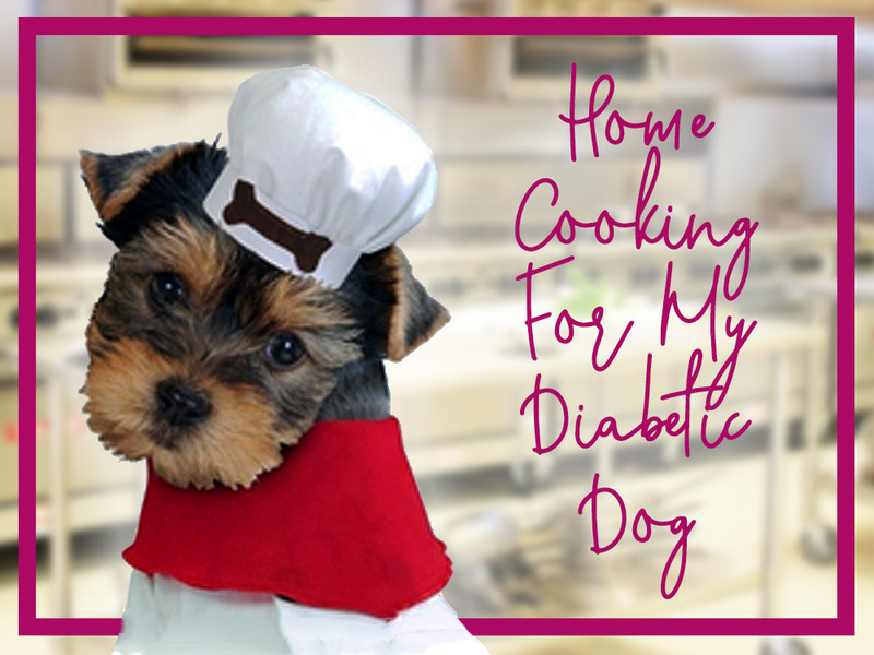 Home Cooking For My Diabetic Dog