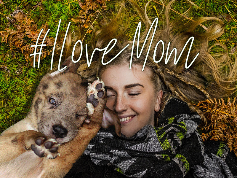 Happy Mother’s Day from Your Diabetic Dog!