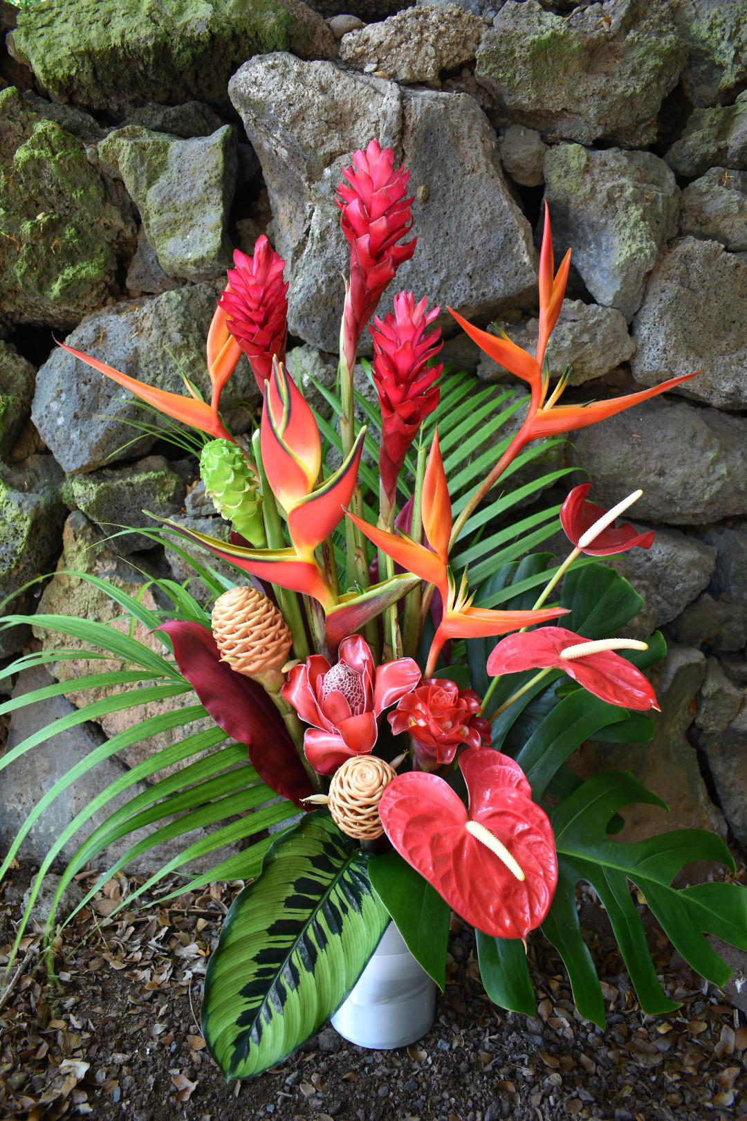 Premium Tropical Mix (Large) Hana TropicalsBuy Tropical Flowers