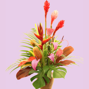 Mother's Day Special!