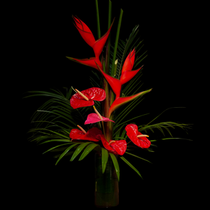 Valentine's Day Special - Floral Foam INCLUDED!