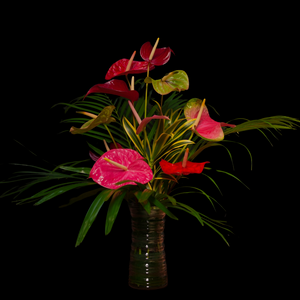 The Heart of Hawaii (Valentine's SPECIAL!)