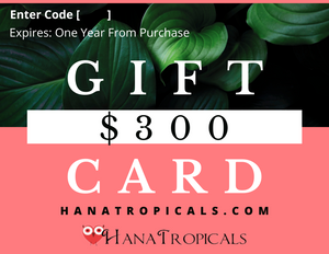 Gift Certificate $300