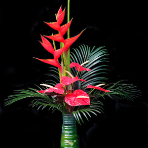 Holiday Blessings (Floral Foam Included!)