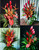 A Year of Flowers DELUXE (6 Large Arrangements Included) 5% SAVINGS!