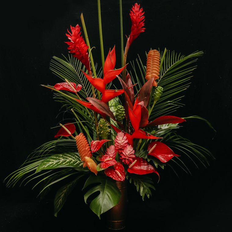 Christmas Extravaganza 