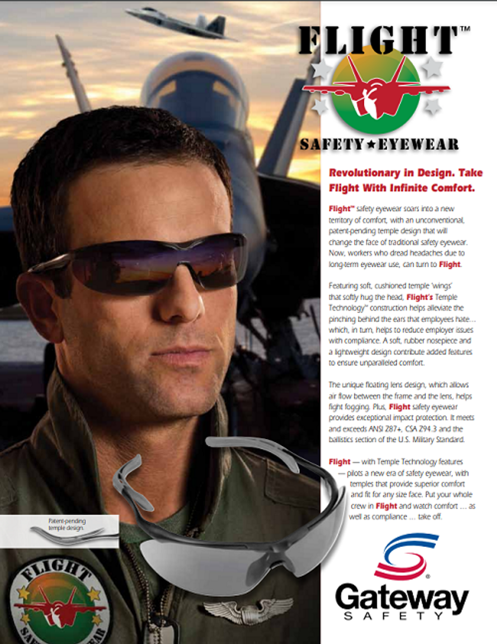 Flight Safety Glasses - 10 Pack Case