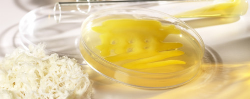 Xanthan Gum, Cargill, Jungbunzlauer, 80 Mesh, 200 Mesh, Gluten free,