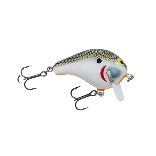 BAGLEY FISHING LURE 5-INCH BANG-O-LURE SPINNERTAIL APPEARS UNFISHED