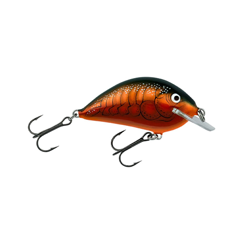 Bagley Bait Co. | Shop Online