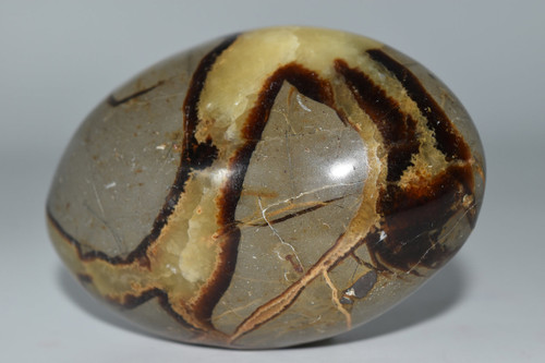 229g Septarian Crystal -