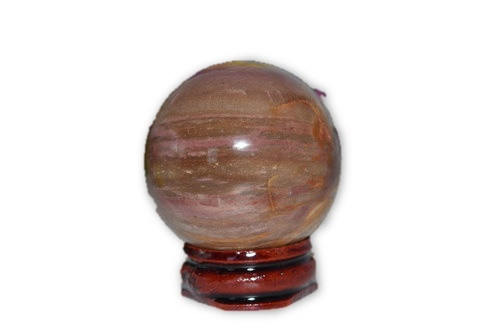 Petrified Wood Sphere with stand