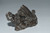 43g Campo Del Cielo Meteorite-