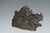 43g Campo Del Cielo Meteorite-