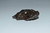 42g Campo Del Cielo Meteorite-Meteorite Crystal