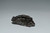 35g Campo Del Cielo Meteorite- Meteorite Crystal