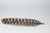 Smudge Feather -Barred Turkey Feather-