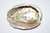 Sm 2.75-3" Abalone Shell -