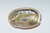 Sm 2.75-3" Abalone Shell -