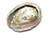 Sm 2.75-3" Abalone Shell -