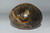 236g Black Moonstone -