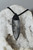 Orthoceros Fossil Necklace  -Crystal necklace