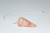 Sunstone Crystal Faceted Pendulum