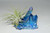 Air Plant on Dark Blue Angel Aura Quartz Cluster/Cobalt Blue Angel Aura Crystal