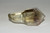 XL Citrine Crystal Scepter 99g- Crystal, Meditation, Glam Decor, Home Decor