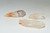 Hematoid Quartz Crystal Scepter - ST Single Terminated Point - Crystal, Meditation, Glam Decor, Home Decor