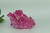 290g Pink Angel Aura Quartz Crystal Cluster