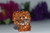 Orgone Orange Lion Mini 1 pc -Quartz Crystal, Pyrite, Blue Kyanite