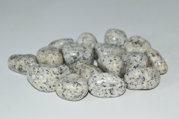 Dalmatian Jasper Crystal Tumbled 1 pc
