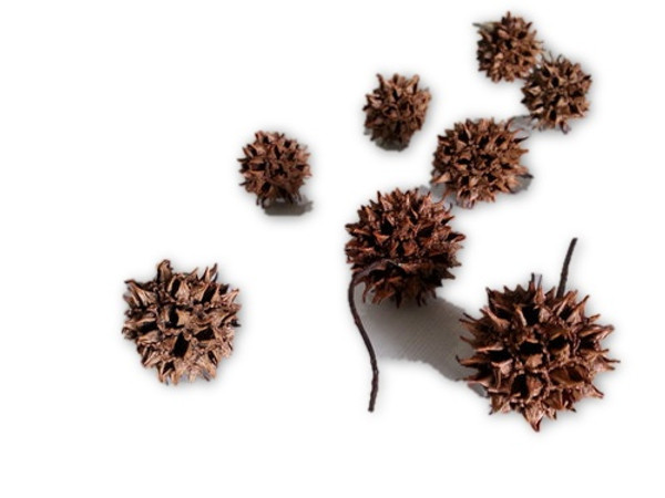 Witch Balls - Specialty Plants Decor- 1 pc
