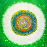Jisu Han Energy Art Flower of the Universe #2 | Framed Canvas Print