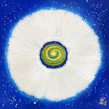 Jisu Han Energy Art Flower of the Universe #16 | Framed Canvas Print