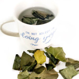 Dendropanax Tea (Hwangchil)