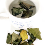 Dendropanax Tea (Hwangchil)